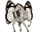 pegaz wierzchowy quarter horse cremello