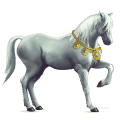 koń wierzchowy koń holsztyński jasnosiwa