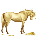 koń wierzchowy quarter horse gniada