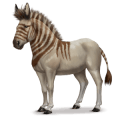 koń z prehistorycznej kolekcji europejski dziki osioł