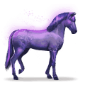 koń tęczy devoted indigo