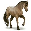 koń z dzikiej kolekcji koń lavradeiro