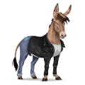 koń wierzchowy quarter horse ciemnogniada