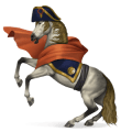 koń wędrowny napoleon