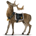 boski koń prancer