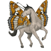 grand-sylvain_v1713961017.png