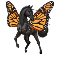 monarque_v1713961017.png