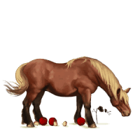 pionnier_v1713961017.png