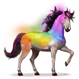koń tęczy secret rainbow