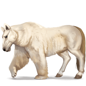 koń z dzikiej kolekcji niedźwiedź polarny