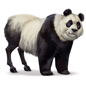 chimerique-panda