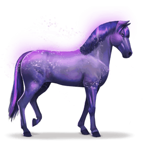 koń tęczy devoted indigo