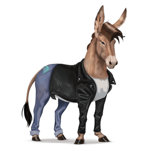 koń wierzchowy mustang ciemnogniada