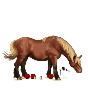 koń wierzchowy koń pełnej krwi angielskiej ciemnogniada