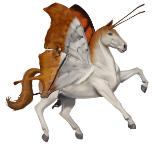 koń wierzchowy quarter horse ciemnokasztanowata