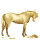 koń wędrowny fortuna