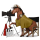 koń wędrowny reżyser