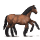 gniady sleipnir
