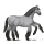 siwy sleipnir