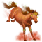 staranise
