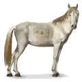 koń z dzikiej kolekcji kuc ainos