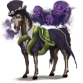 koń wędrowny baron samedi