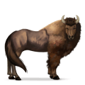 koń z dzikiej kolekcji bizon
