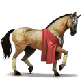 koń wierzchowy quarter horse jasnokasztanowata