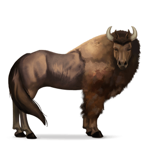 koń z dzikiej kolekcji bizon