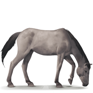 koń z dzikiej kolekcji konik dulmeński