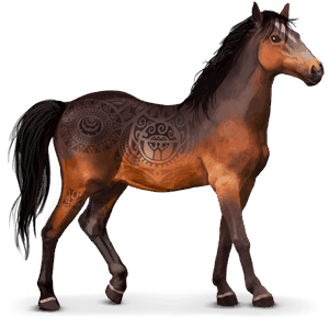 koń z dzikiej kolekcji kaimanawa