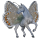 koń wędrowny modraszek ikar