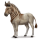koń z prehistorycznej kolekcji europejski dziki osioł