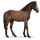 koń z dzikiej kolekcji koń z namib
