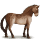 koń z dzikiej kolekcji koń przewalskiego