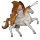 koń wędrowny marpesia zerynthia