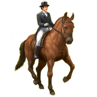 dressage.png