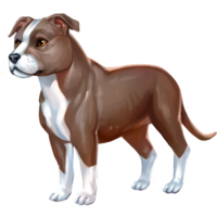 compagnon-cu-sidhe-10.png