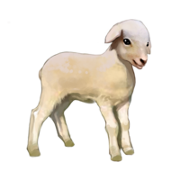 compagnon-mouton.png