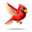 compagnon-pinata-cardinal.png