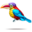 compagnon-pinata-curl-crested-aracari.png