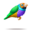 compagnon-pinata-gouldian-finch.png