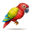 compagnon-pinata-parrot.png