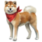 compagnon-akita-inu.png