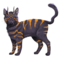 compagnon-cat-palug.png