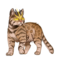 compagnon-cat-sidhe-11.png