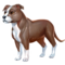 compagnon-cu-sidhe-10.png