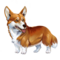 compagnon-cu-sidhe-9.png