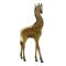 compagnon-girafe.png