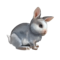 compagnon-lapin.png